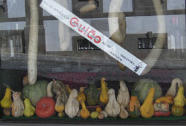 Guiao-Window2