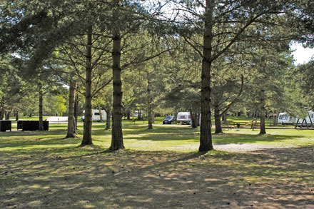 Sandringham-CCC1