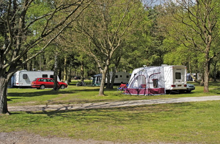 Sandringham2