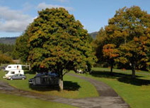 Scottish-Campsite-2