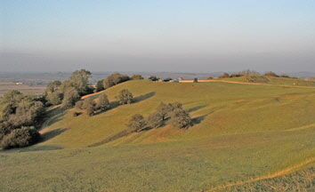 Hills-5 Hills-5