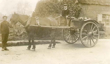 Men-with-Horse-&-cart-1910s Men-with-Horse-&-cart-1910s